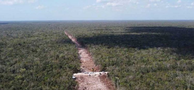 Autoriza Semarnat MIA del tramo 5 Sur del Tren Maya