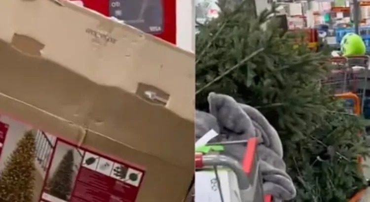 Quedaron definidas las rondas divisionales de la NFL Quedaron definidas las rondas divisionales de la NFL