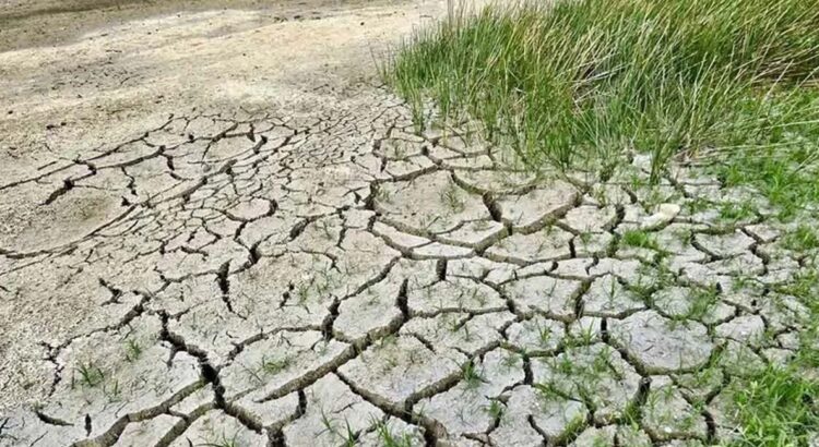 Alerta por sequía: aumentó a 89 % la superficie de México afectada por la falta de lluvia