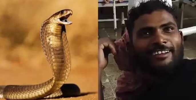 Un hombre en India responde a mordida de serpiente… ¡mordiéndola de vuelta!