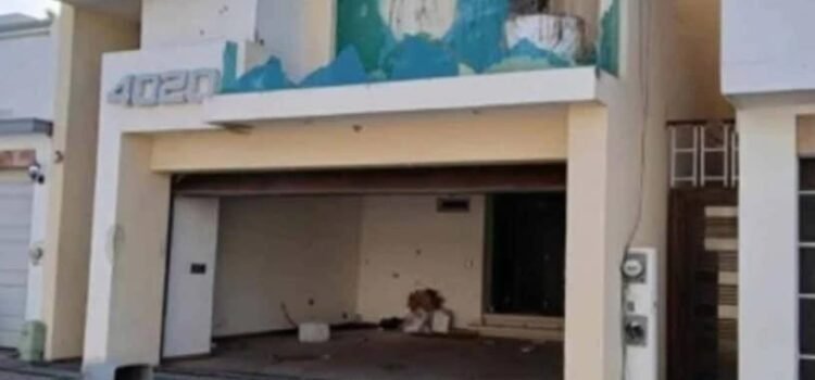 Más de 650 homicidios y 695 desapariciones, el saldo del enfrentamiento entre «Chapitos» y «Mayitos» Más de 650 homicidios y 695 desapariciones, el saldo del enfrentamiento entre «Chapitos» y «Mayitos»