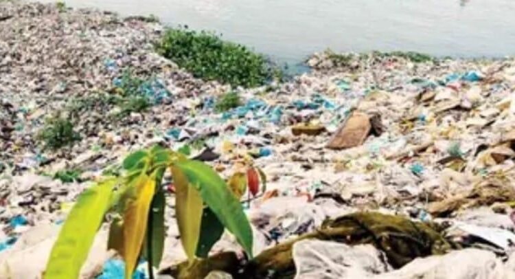 El mundo está en una encrucijada: ONU El mundo está en una encrucijada: ONU