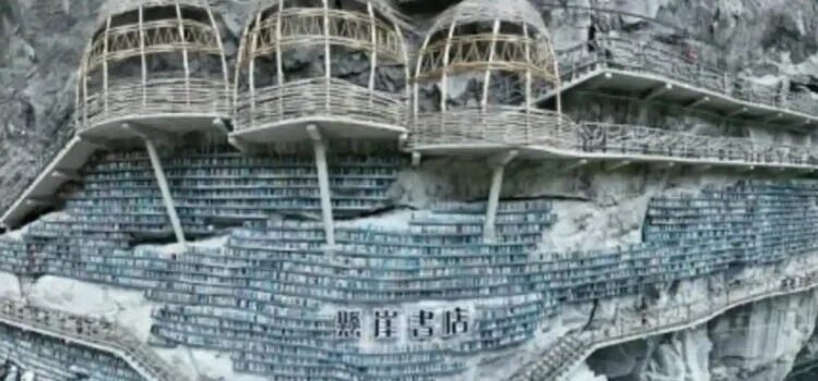 Cuando visitar la biblioteca es una actividad extrema