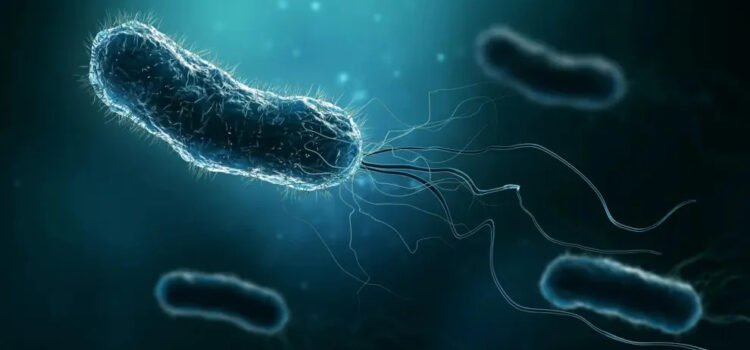 Hallan los responsables genéticos de la resistencia a los antibióticos en bacterias