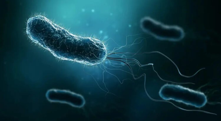 Hallan los responsables genéticos de la resistencia a los antibióticos en bacterias Hallan los responsables genéticos de la resistencia a los antibióticos en bacterias