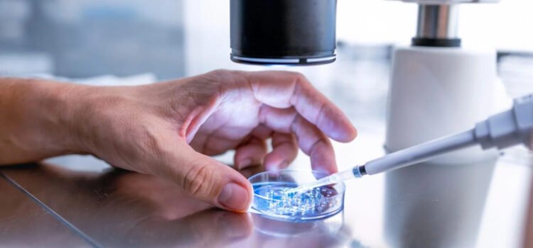 Desarrollan óvulos humanos potencialmente fecundables a partir de células de la piel