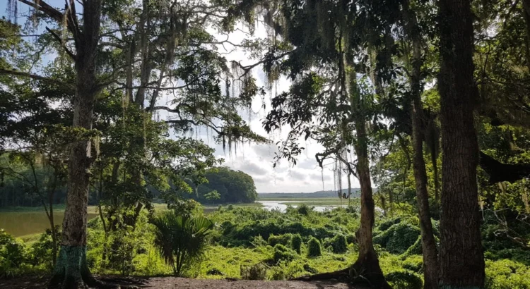 Destinos turísticos deben ver a la naturaleza como una inversión: Conanp Destinos turísticos deben ver a la naturaleza como una inversión: Conanp